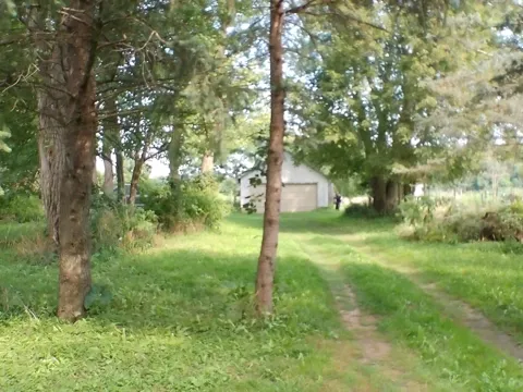 Musbach Road
