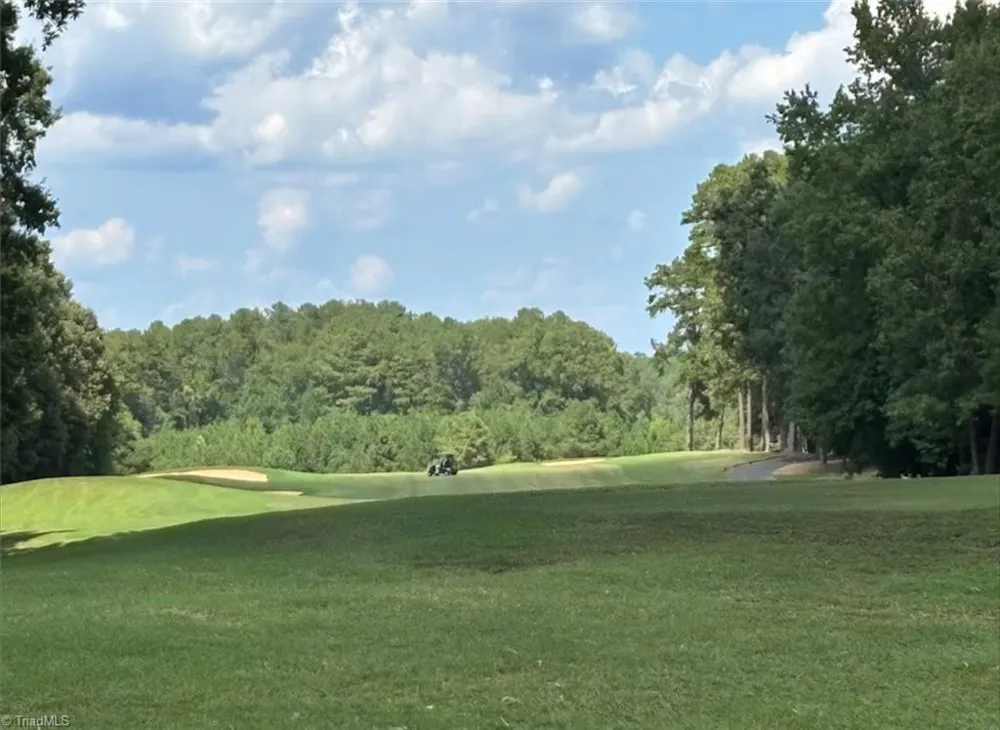 223 Old Harbor Drive Mount Gilead, NC 27306