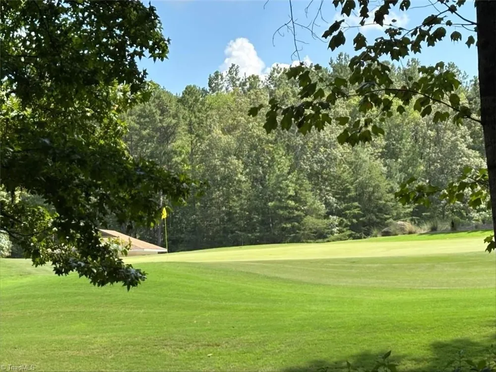 223 Old Harbor Drive Mount Gilead, NC 27306