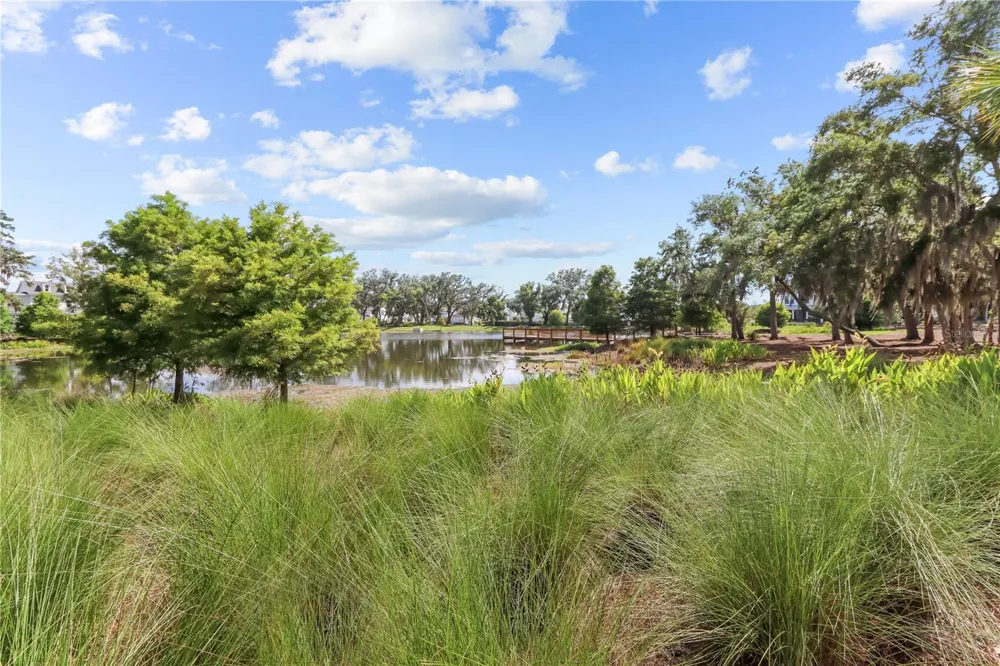 923 COLIE ALLEY Winter Garden, FL 34787