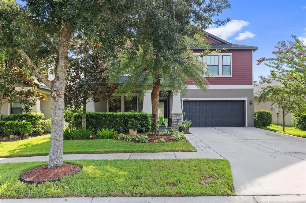 14242 BLUE DASHER DRIVE Riverview, FL 33569