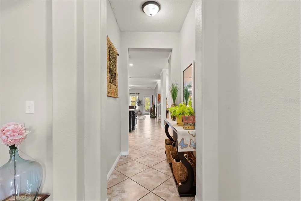 14242 BLUE DASHER DRIVE Riverview, FL 33569