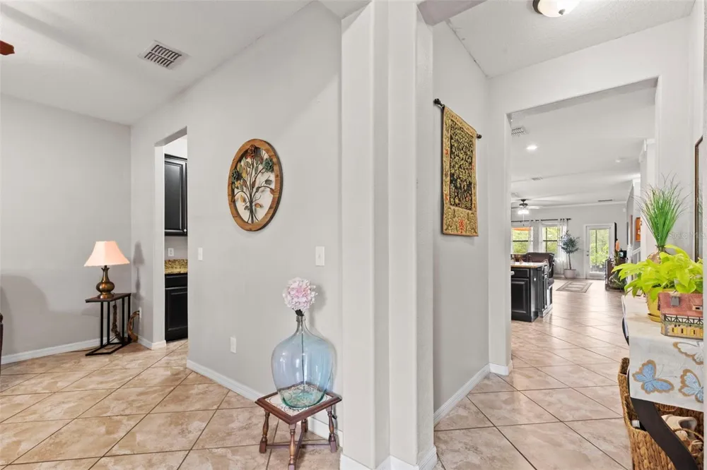 14242 BLUE DASHER DRIVE Riverview, FL 33569