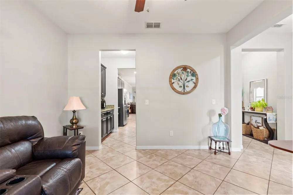14242 BLUE DASHER DRIVE Riverview, FL 33569