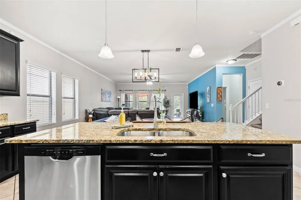 14242 BLUE DASHER DRIVE Riverview, FL 33569
