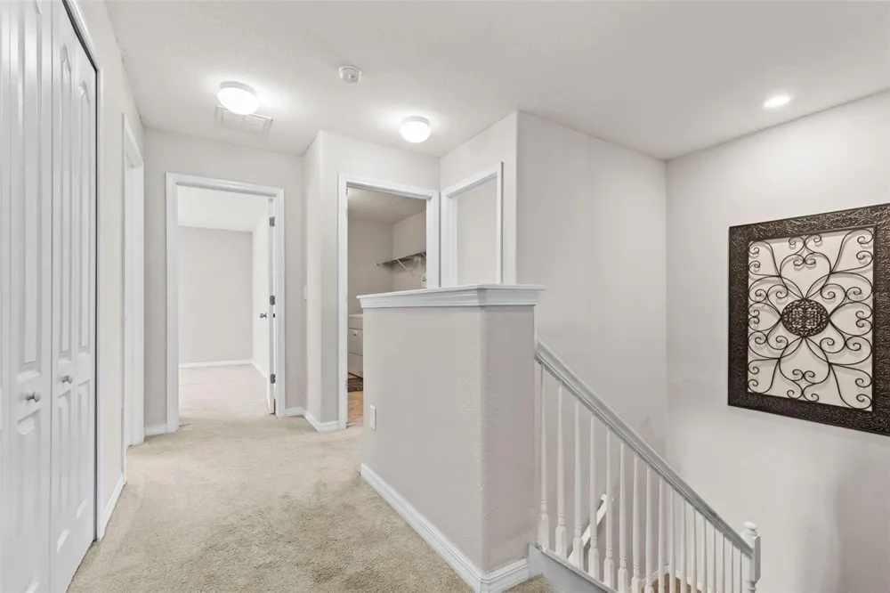 14242 BLUE DASHER DRIVE Riverview, FL 33569