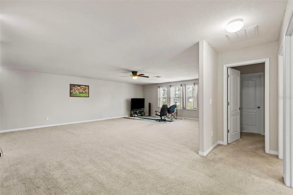 14242 BLUE DASHER DRIVE Riverview, FL 33569