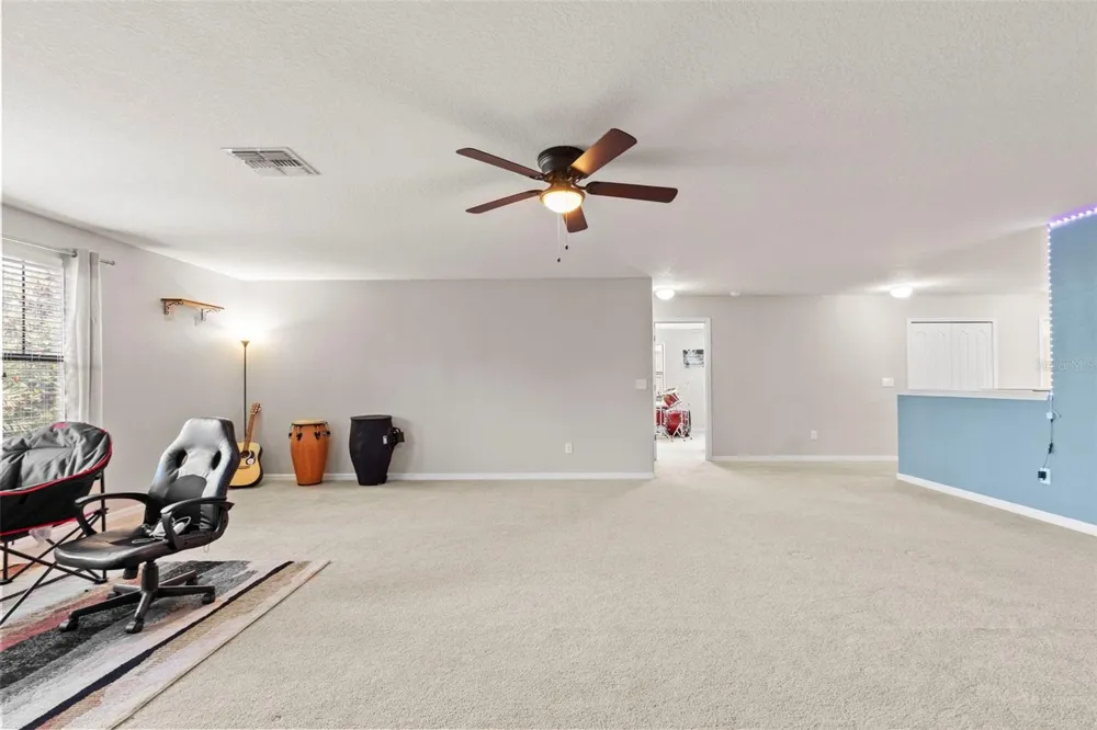 14242 BLUE DASHER DRIVE Riverview, FL 33569