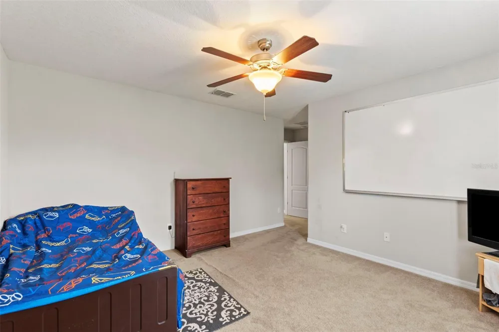 14242 BLUE DASHER DRIVE Riverview, FL 33569