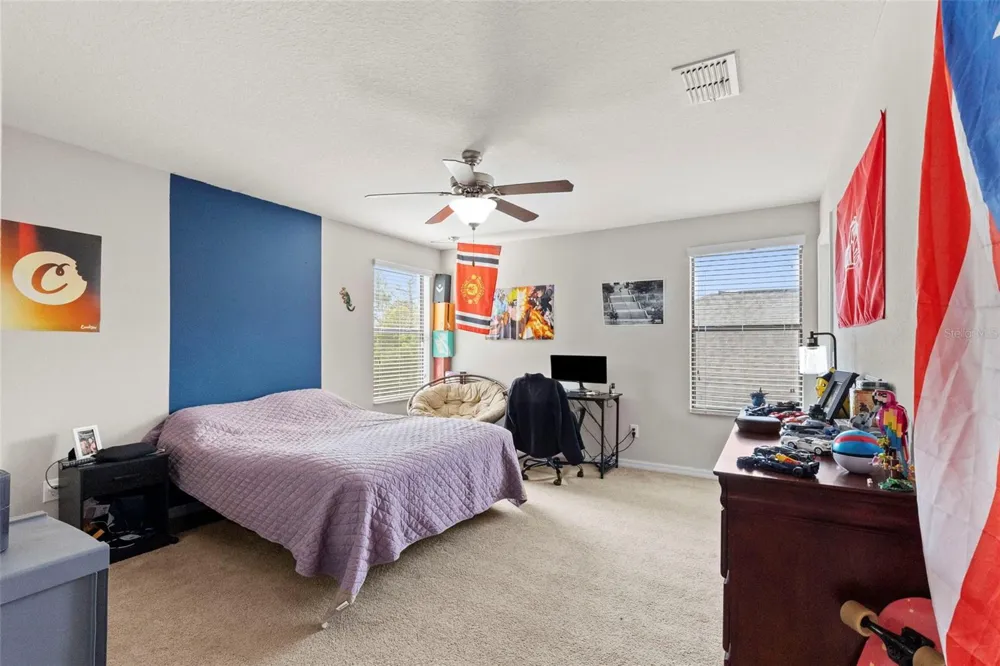14242 BLUE DASHER DRIVE Riverview, FL 33569