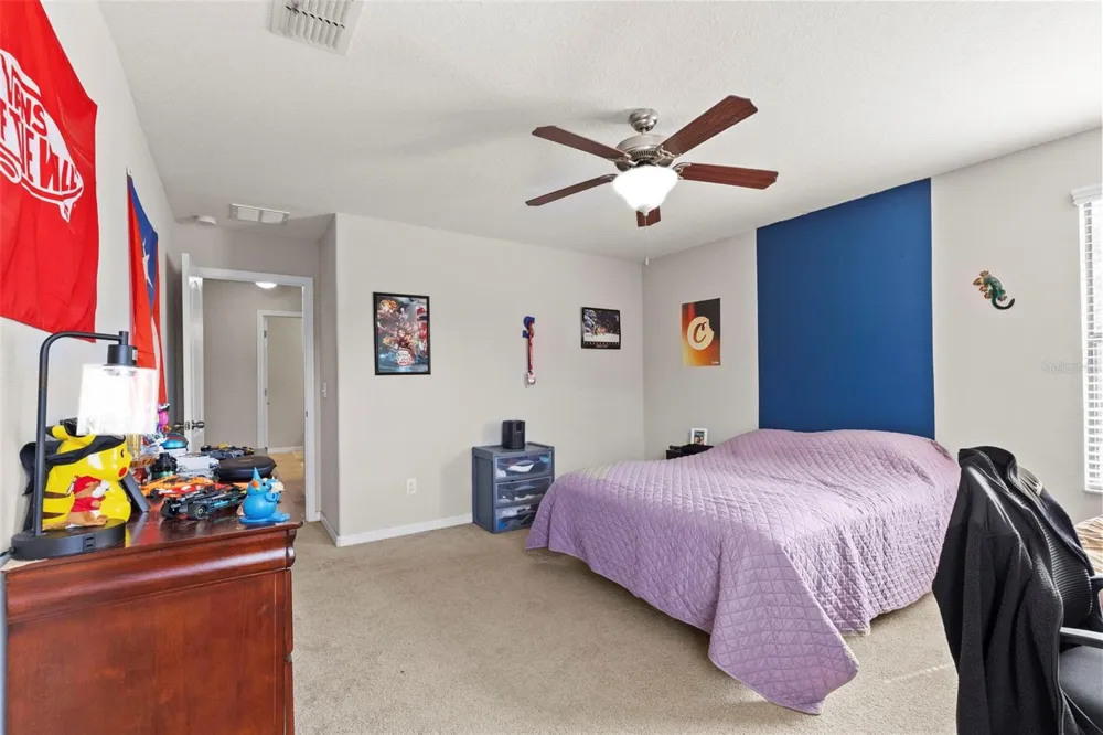14242 BLUE DASHER DRIVE Riverview, FL 33569