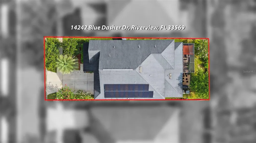 14242 BLUE DASHER DRIVE Riverview, FL 33569