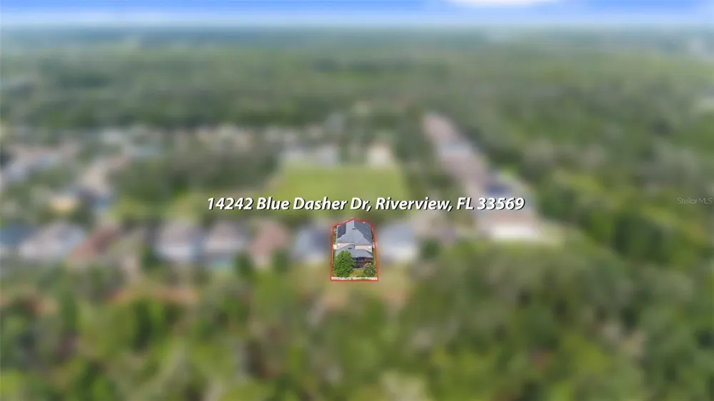 14242 BLUE DASHER DRIVE Riverview, FL 33569