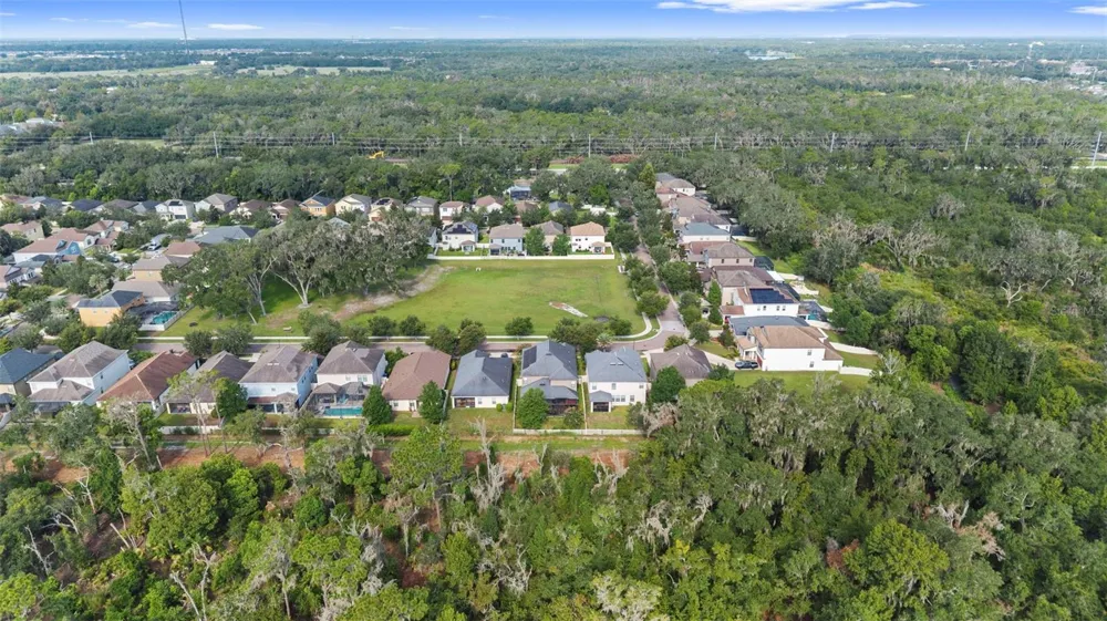 14242 BLUE DASHER DRIVE Riverview, FL 33569