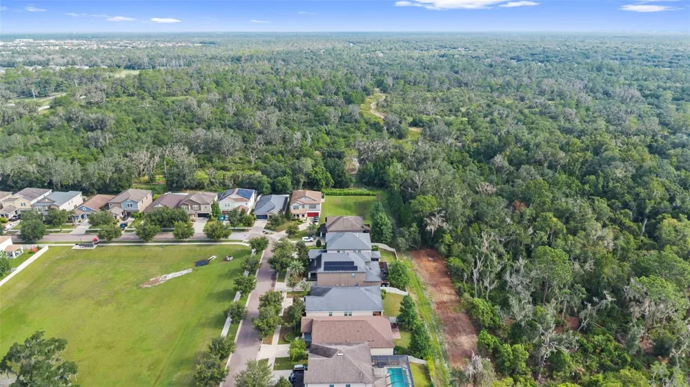 14242 BLUE DASHER DRIVE Riverview, FL 33569