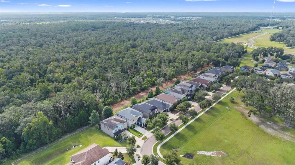 14242 BLUE DASHER DRIVE Riverview, FL 33569