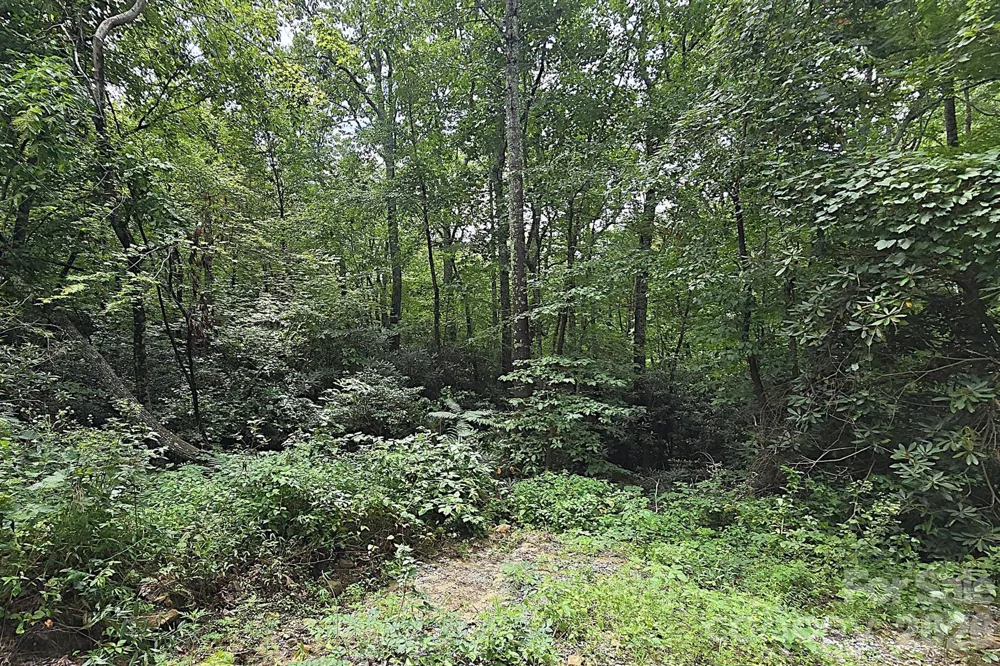 86 Pine Ridge Road Hendersonville, NC 28792