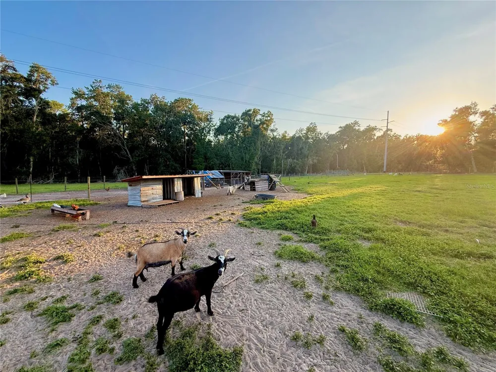 25406 LADYHAWK LANE Brooksville, FL 34601