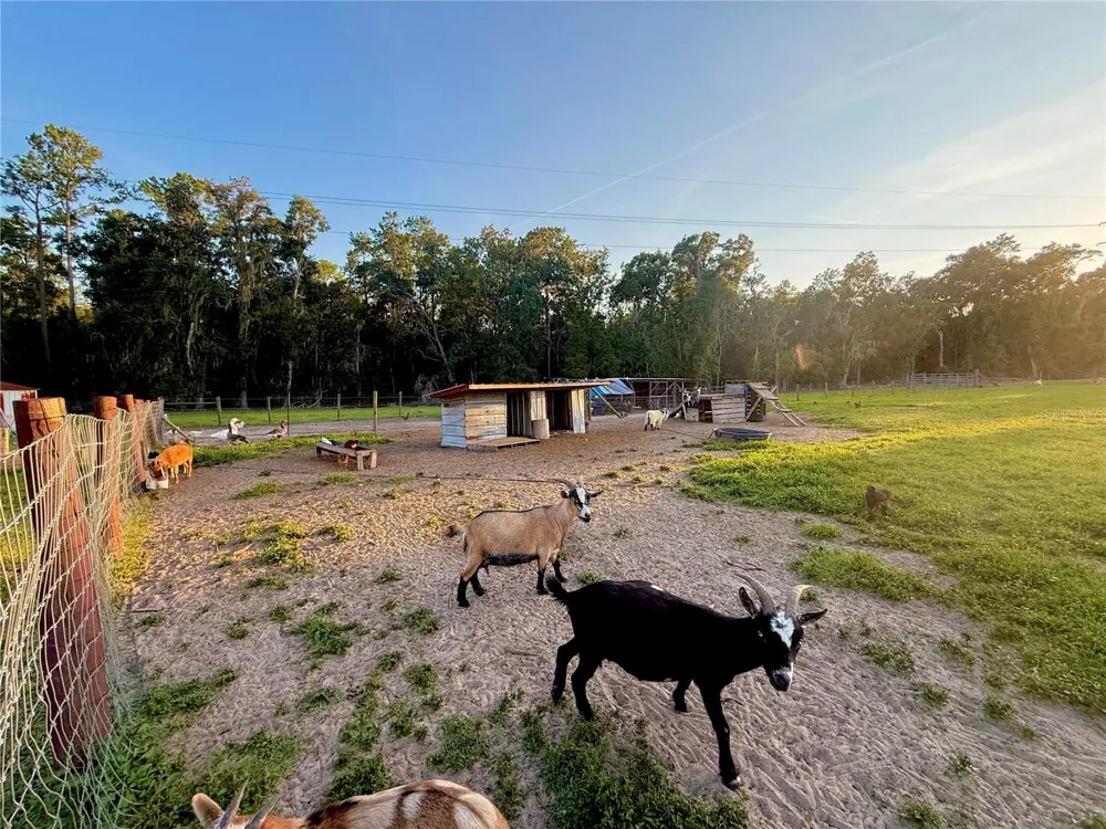25406 LADYHAWK LANE Brooksville, FL 34601