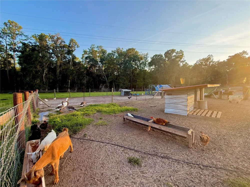 25406 LADYHAWK LANE Brooksville, FL 34601