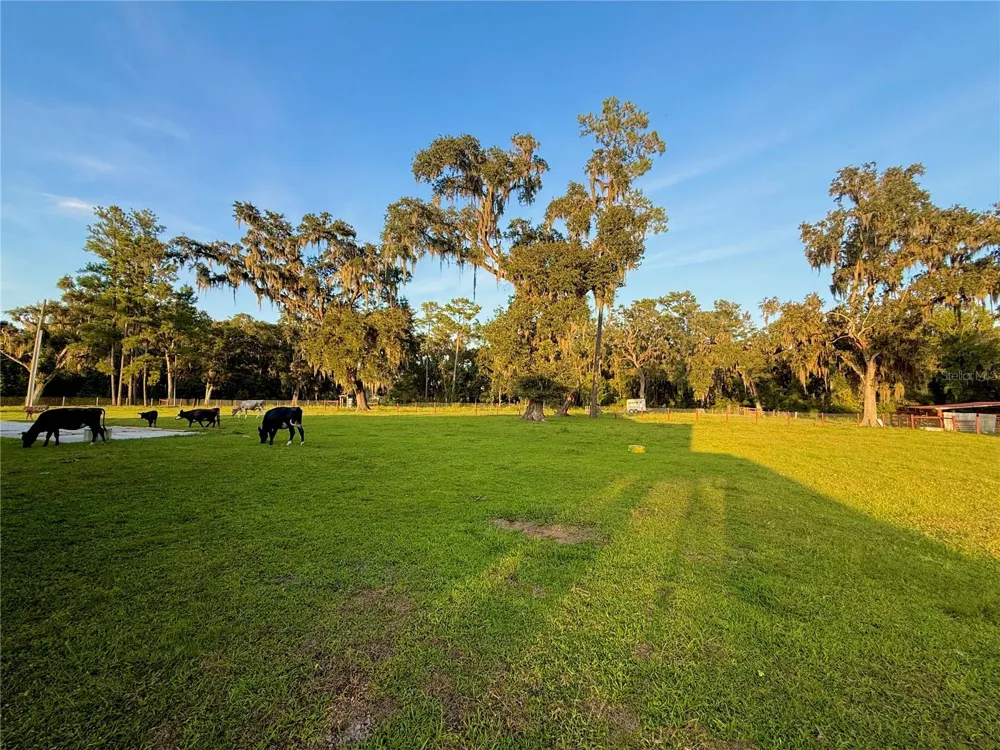 25406 LADYHAWK LANE Brooksville, FL 34601