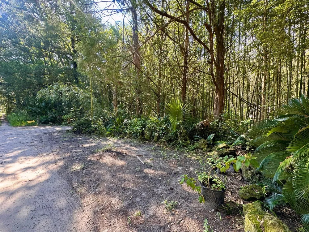 17970 SW 111TH STREET Brooker, FL 32622