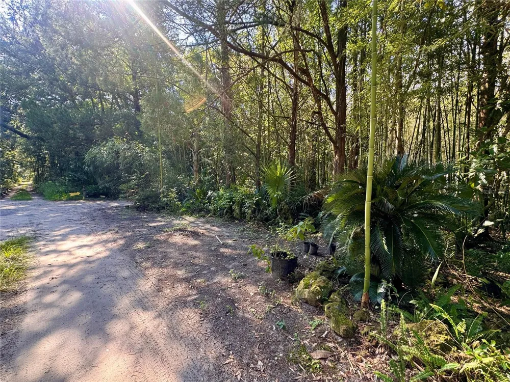 17970 SW 111TH STREET Brooker, FL 32622