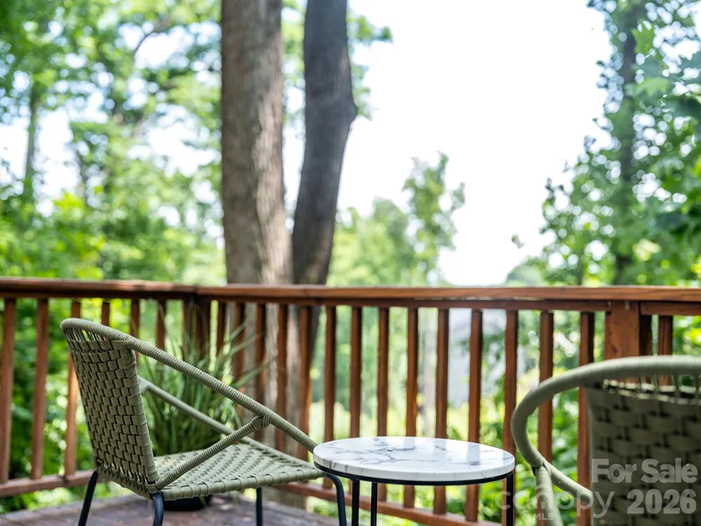 1 Pickwick Road Asheville, NC 28803
