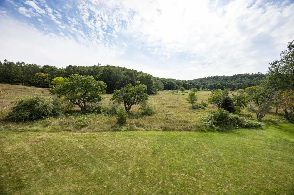 10505 W Pitch Apple Lane Empire Township, MI 49630