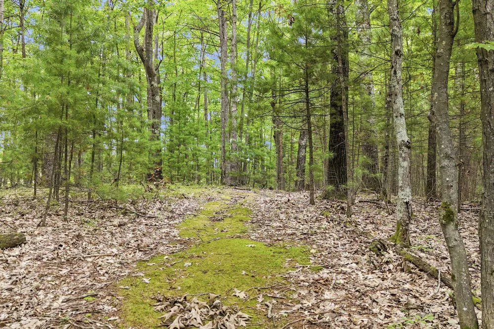 330 Rasho Road East Bay Township, MI 49696