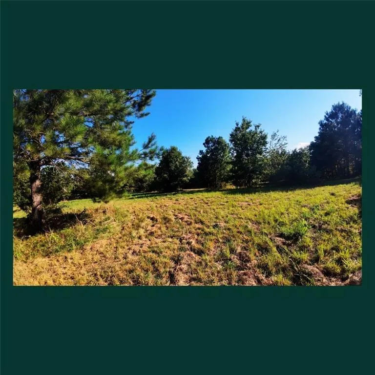00 Gill Point Rd. Tignall, GA 30668