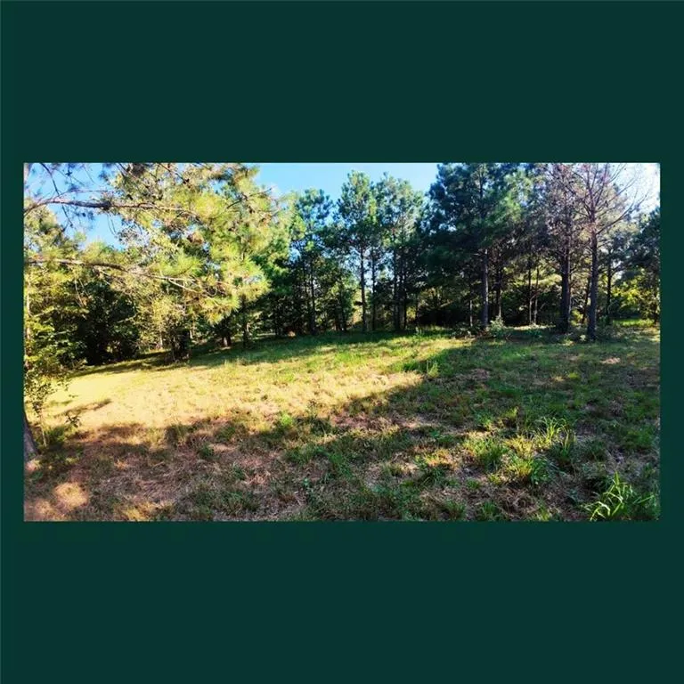 00 Gill Point Rd. Tignall, GA 30668