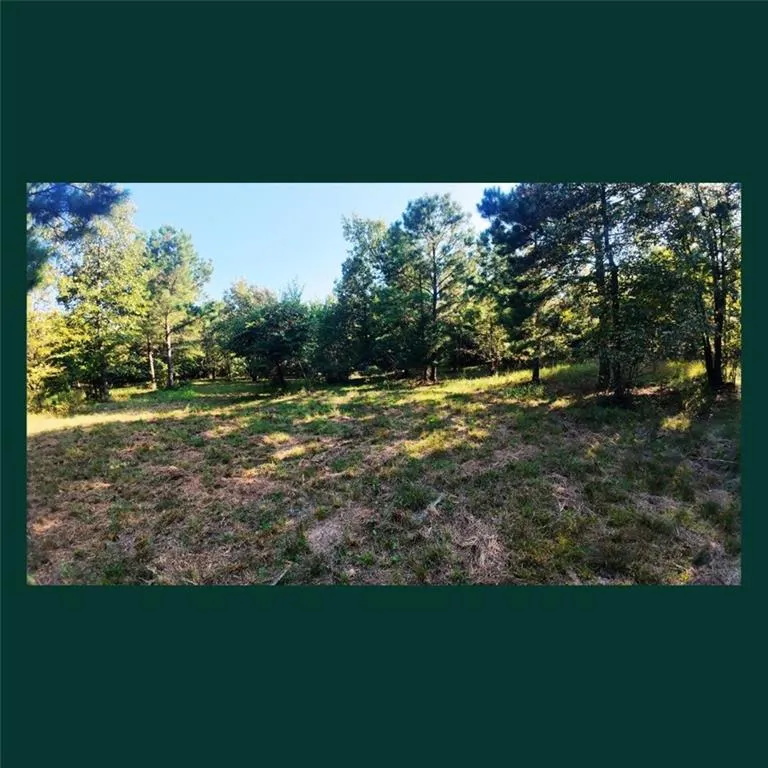 00 Gill Point Rd. Tignall, GA 30668