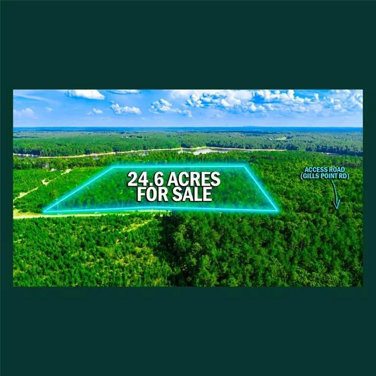 00 Gill Point Rd. Tignall, GA 30668