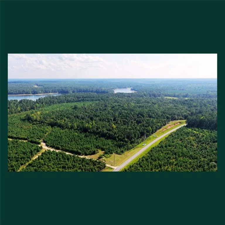 00 Gill Point Rd. Tignall, GA 30668