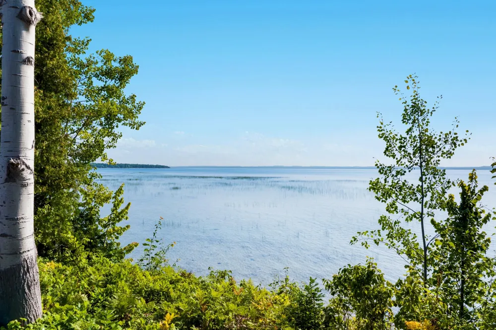4800 S West Bay Shore Drive Bingham Township, MI 49682