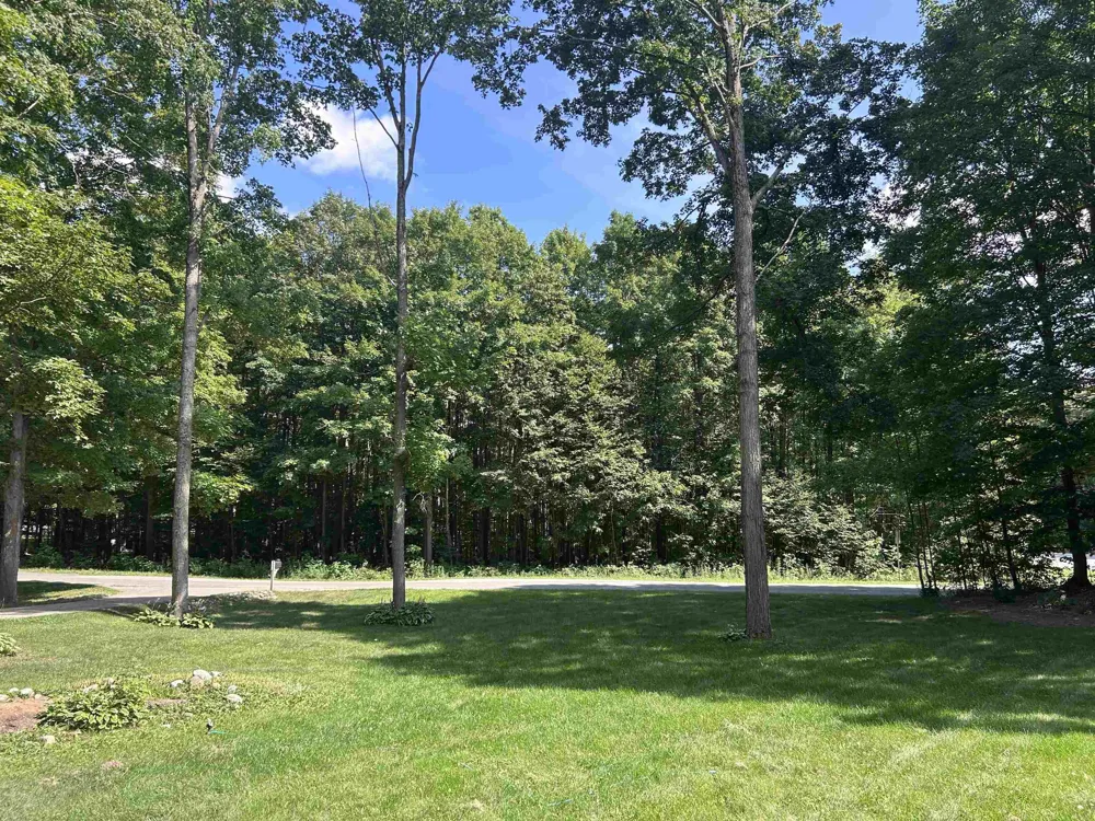 Antioch Drive Antioch Township, MI 49668