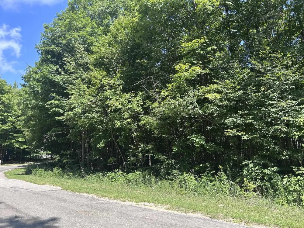 Antioch Drive Antioch Township, MI 49668