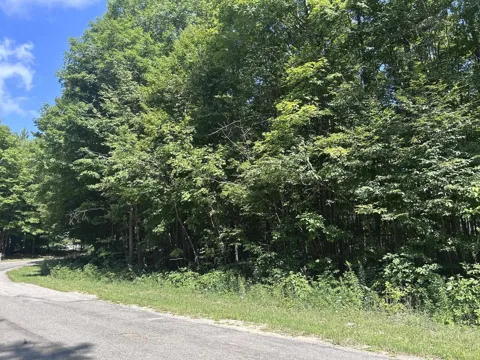 Antioch Drive