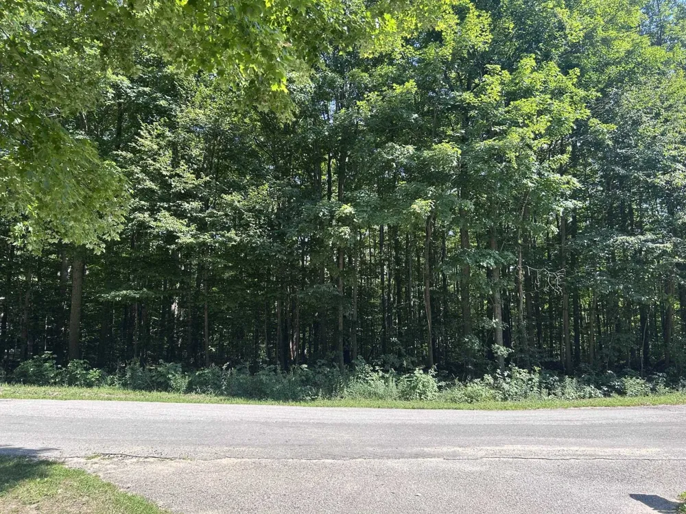 Antioch Drive Antioch Township, MI 49668
