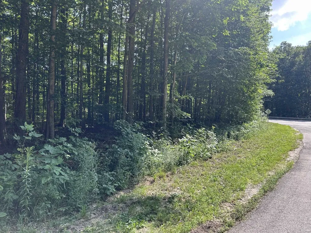 Antioch Drive Antioch Township, MI 49668