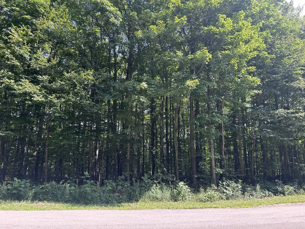 Antioch Drive Antioch Township, MI 49668