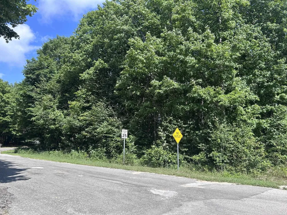 Antioch Drive Antioch Township, MI 49668