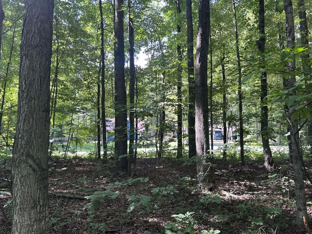 Antioch Drive Antioch Township, MI 49668