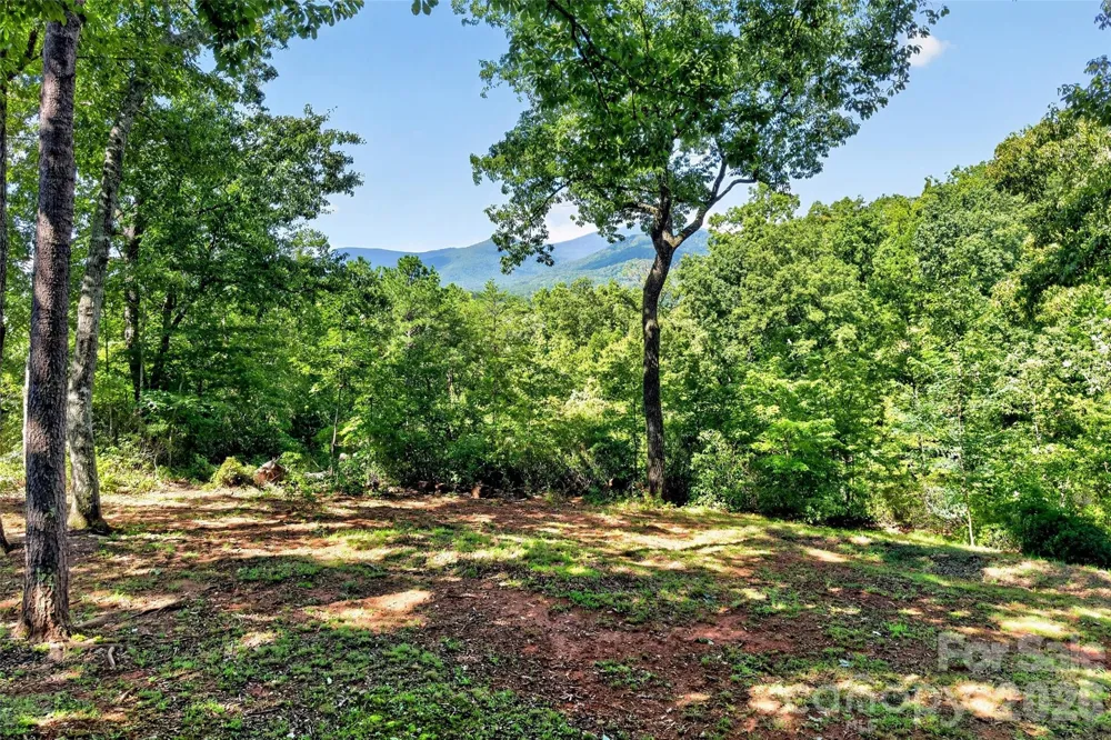 128 Pearson Circle Lake Lure, NC 28746