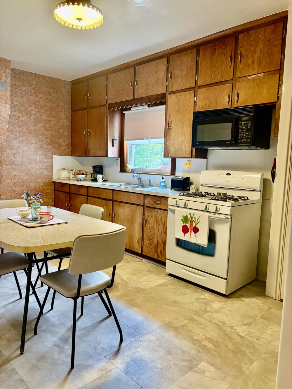 204 Litchfield Street Clinton, MI 49236