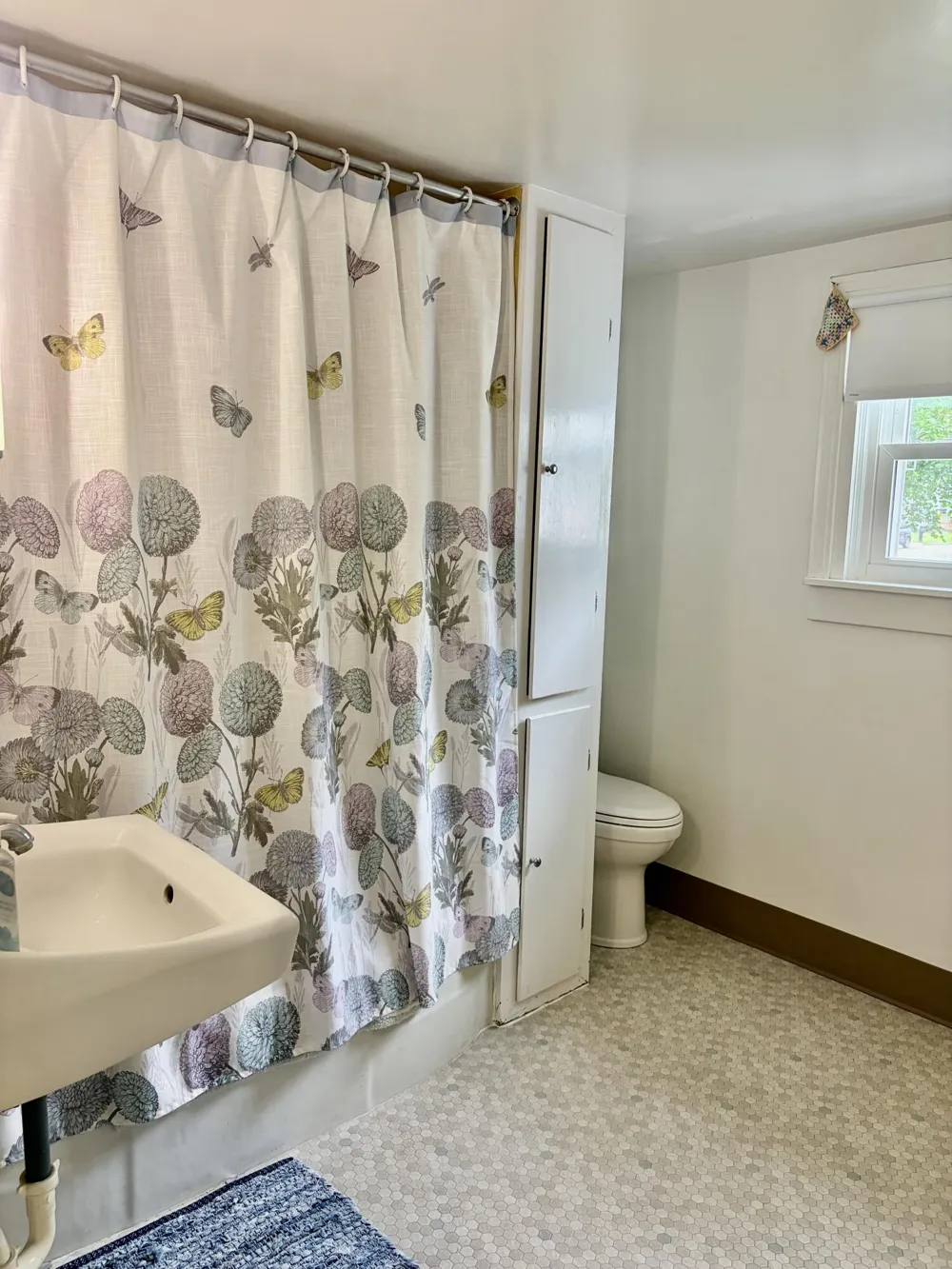 204 Litchfield Street Clinton, MI 49236