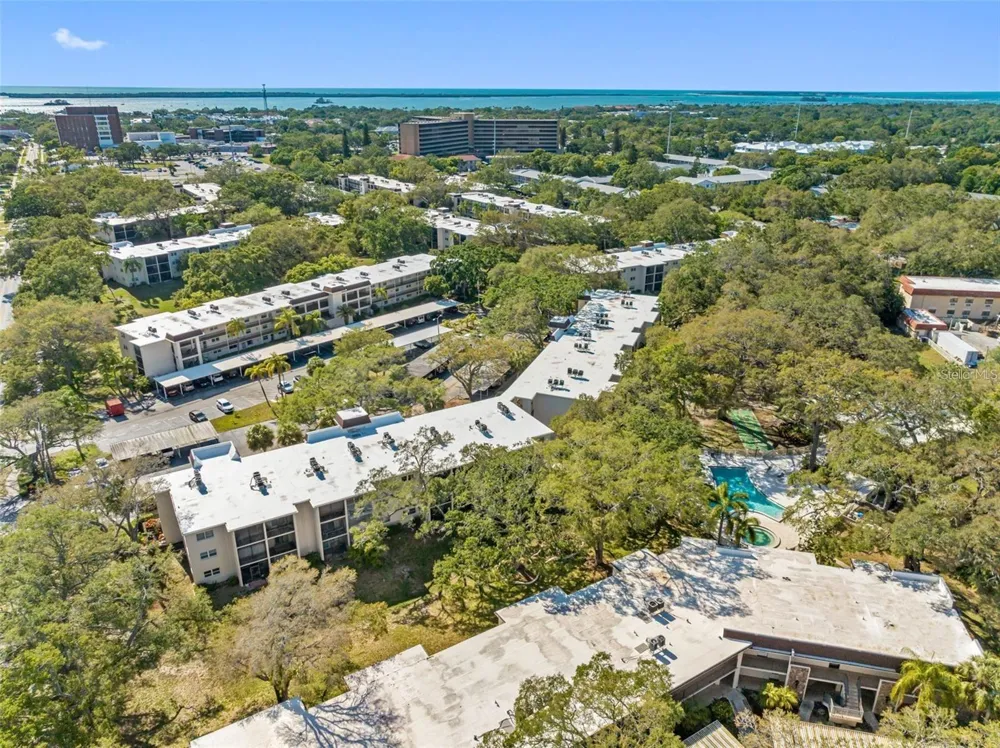 870 VIRGINIA STREET #104 Dunedin, FL 34698