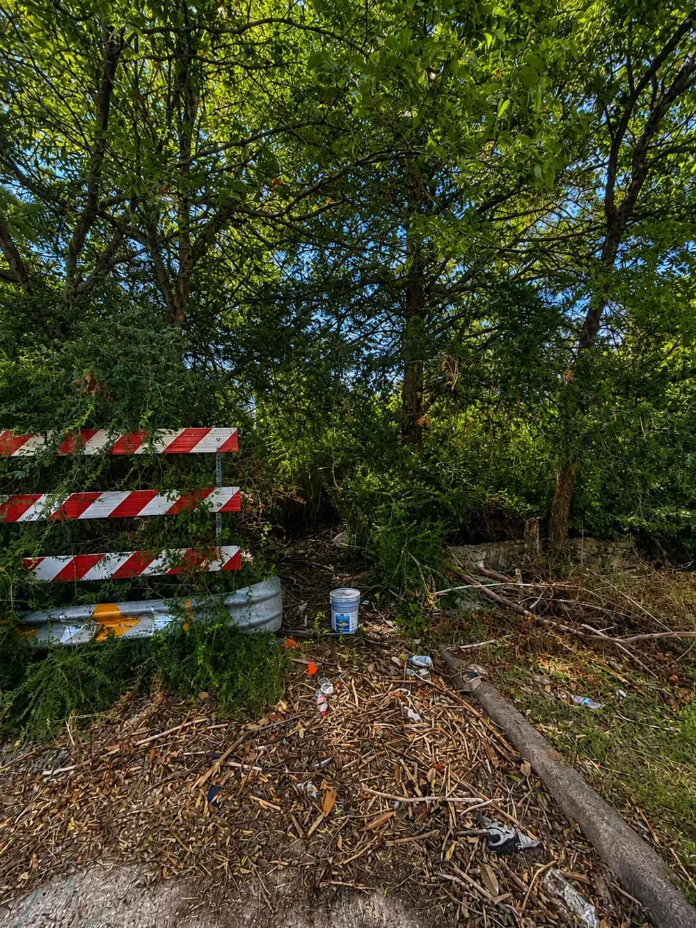 1156 Mansfield Avenue Fort Worth, TX 76104