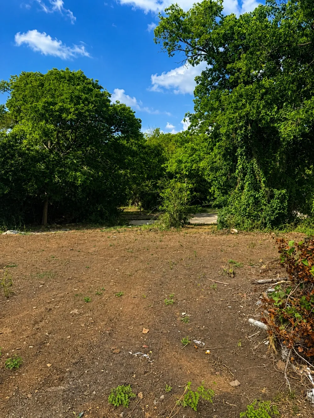 1156 Mansfield Avenue Fort Worth, TX 76104